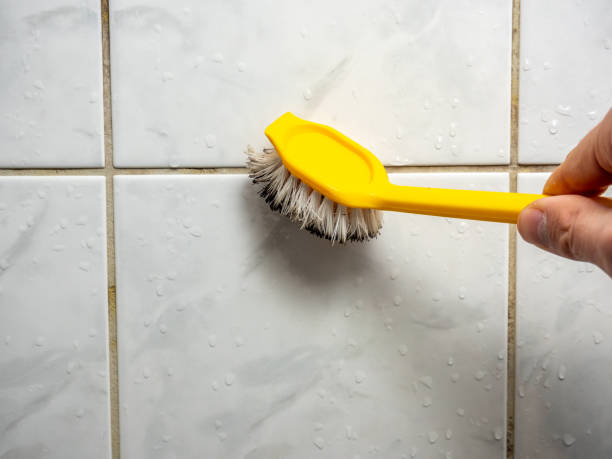 Best Kitchen Mold Remediation in Statham, GA