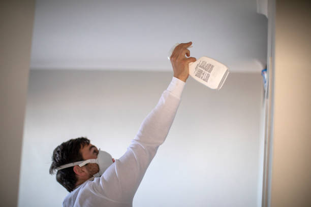 Best Post-Flood Mold Remediation in Statham, GA