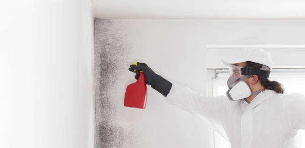 Professional Mold Remediation in Statham, GA